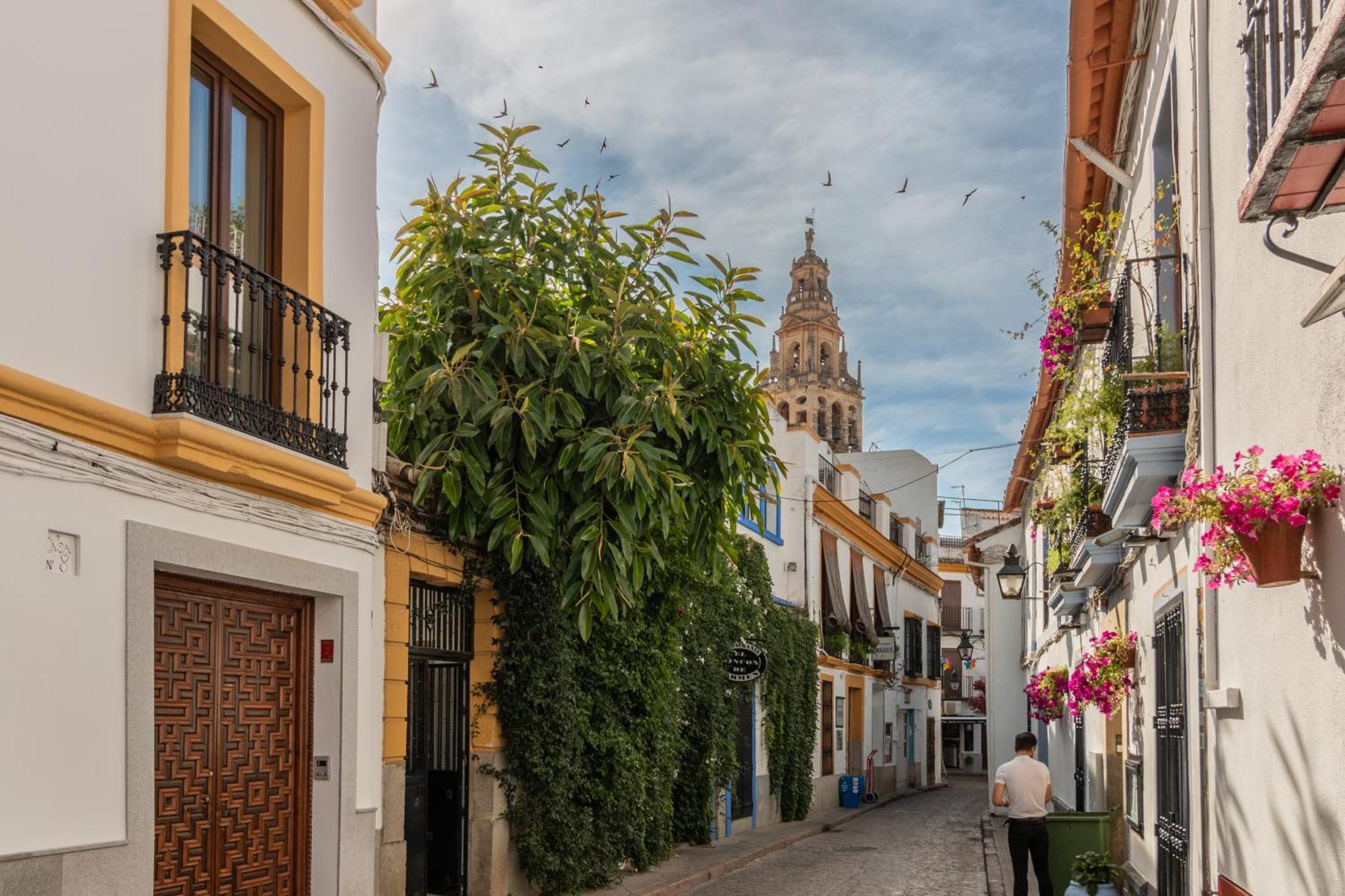 Luxury El Patio De La Juderia Apartment Cordoba Exterior photo